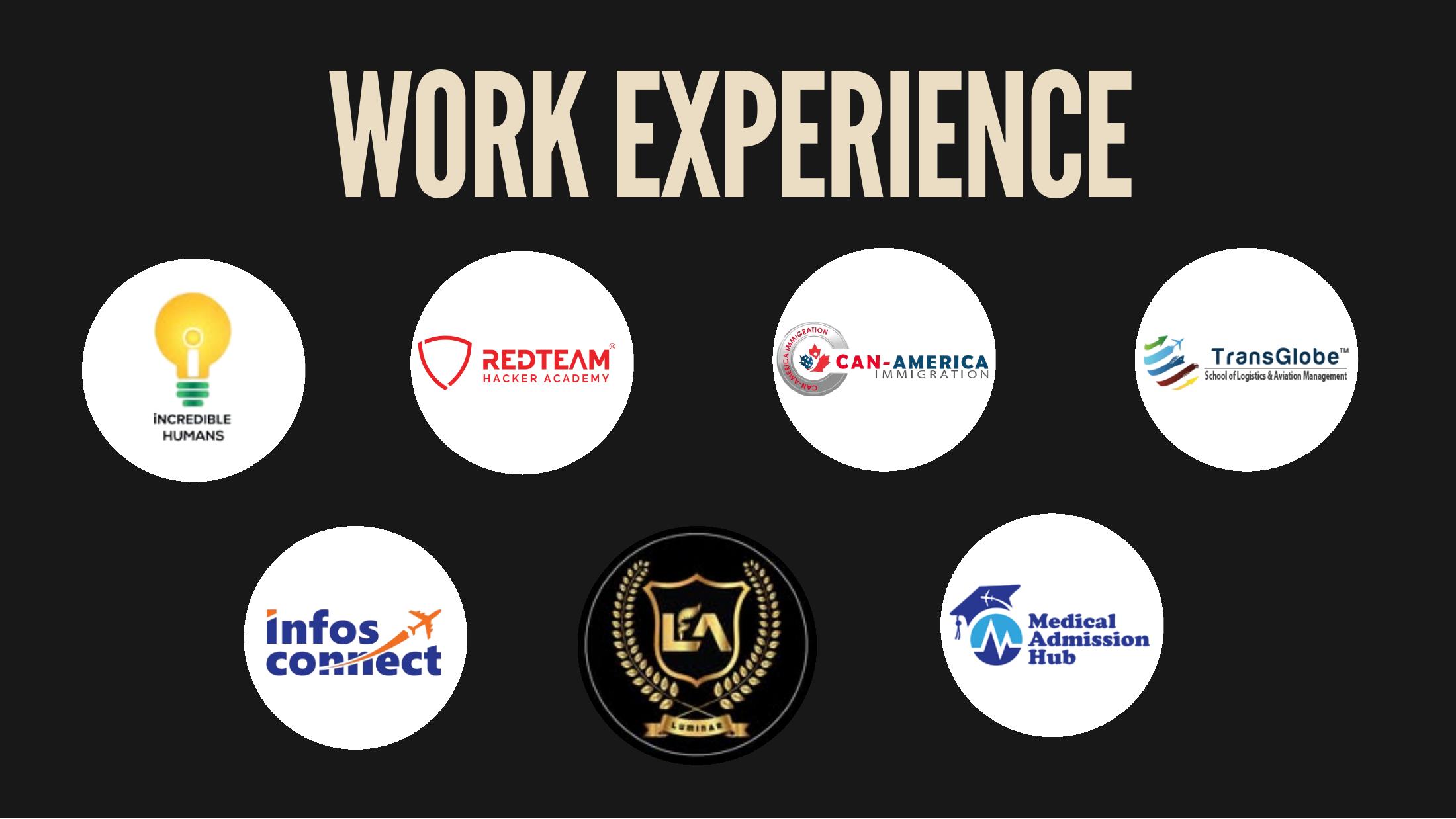 Portfolio page 3: Work Experience